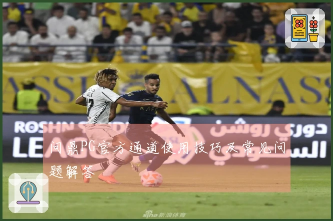 问鼎PG官方通道使用技巧及常见问题解答