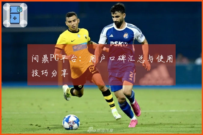 问鼎PG平台：用户口碑汇总与使用技巧分享