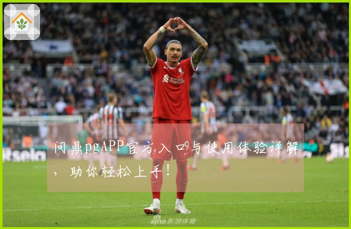 问鼎pgAPP官方入口与使用体验详解，助你轻松上手！