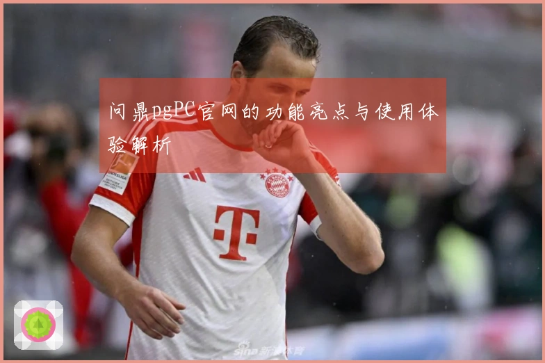 问鼎pgPC官网的功能亮点与使用体验解析