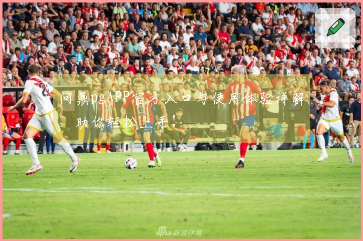 问鼎pgAPP官方入口与使用体验详解，助你轻松上手！