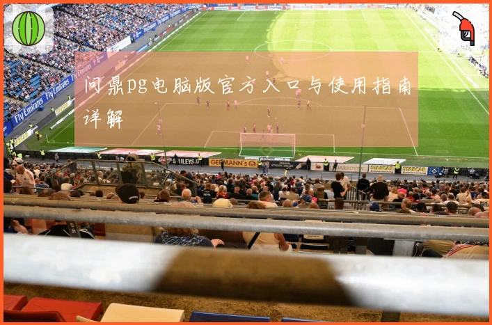 问鼎pg电脑版官方入口与使用指南详解