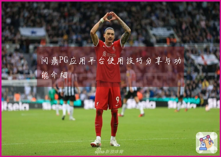 问鼎PG应用平台使用技巧分享与功能介绍